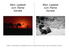Titelseite-Kamel-2.pdf